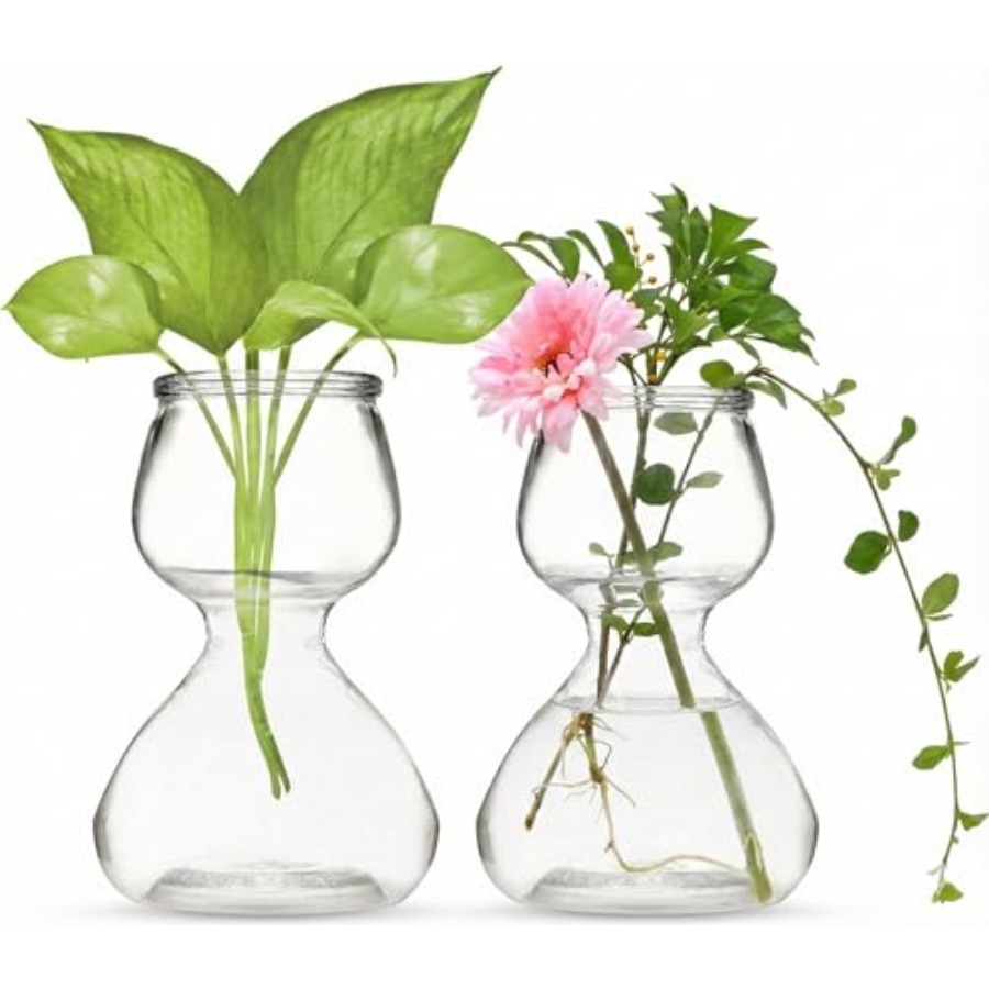 Propagation Station Vase - Garden Guru Plant Propagation Stations -