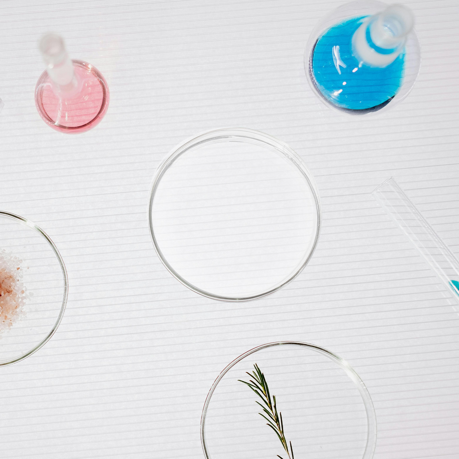 Glass Petri Dish Laboratory Fl - Agar Tissue Culture review and price