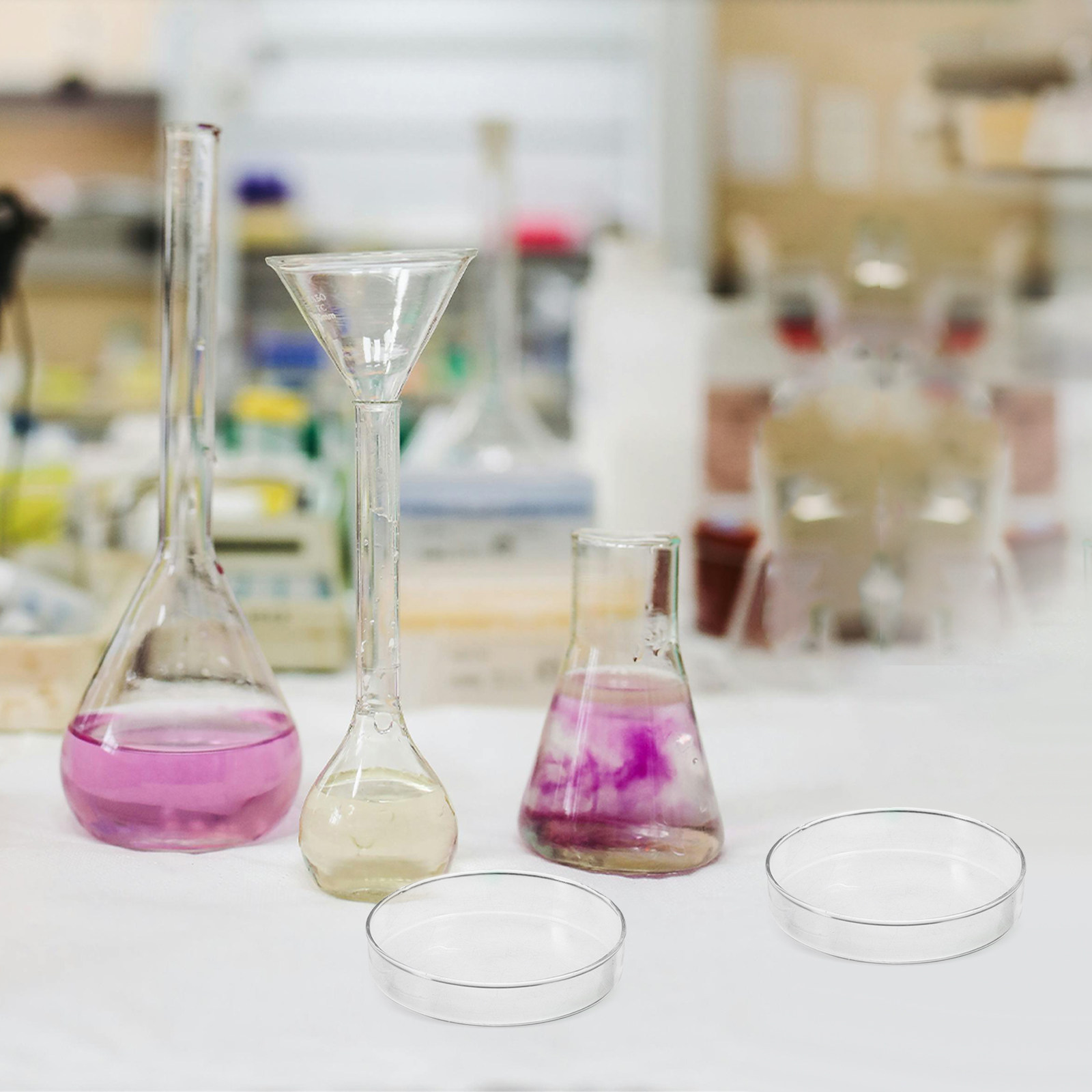 Glass Petri Dish Laboratory Fl - Agar Tissue Culture review and price
