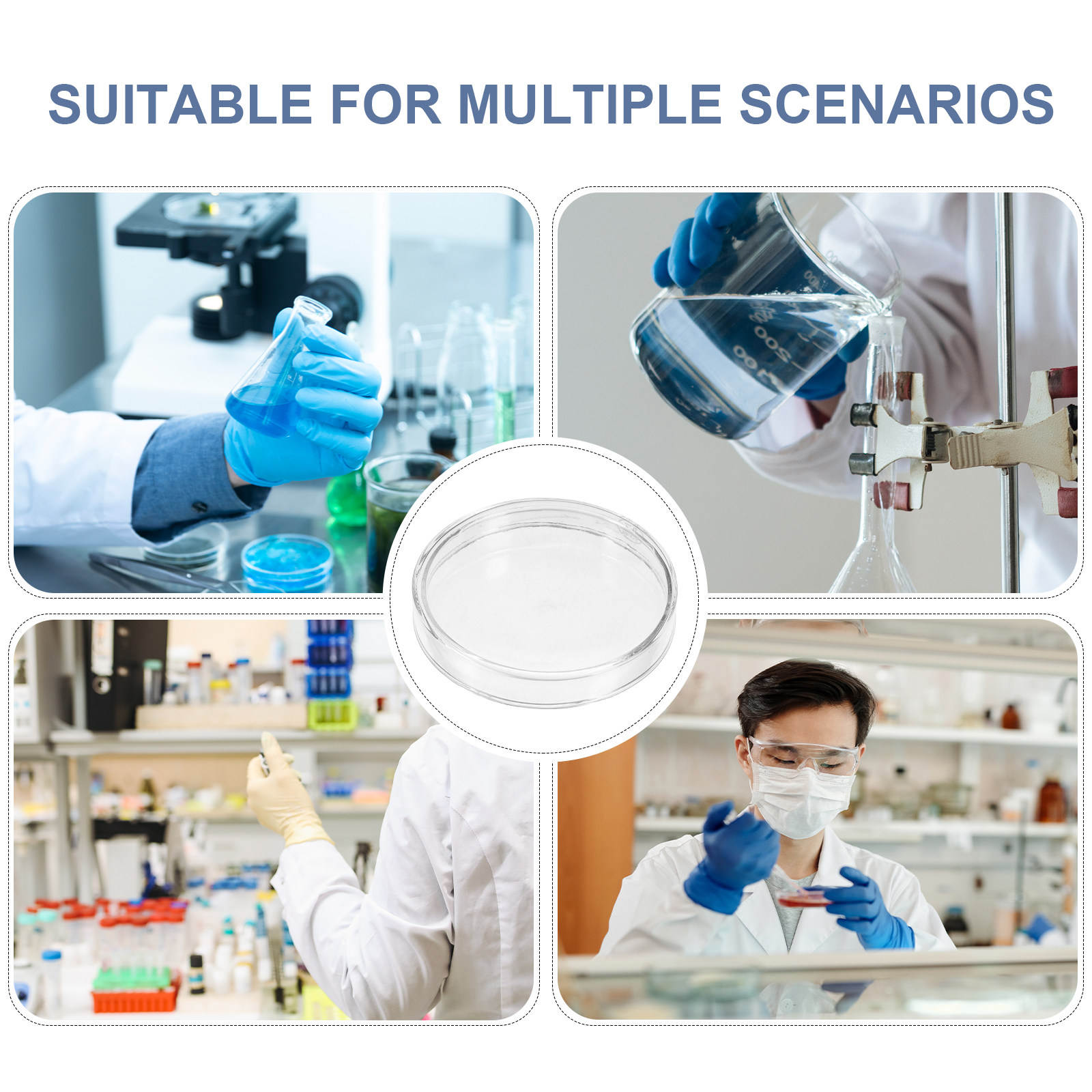 Glass Petri Dish Laboratory Fl - Agar Tissue Culture review and price