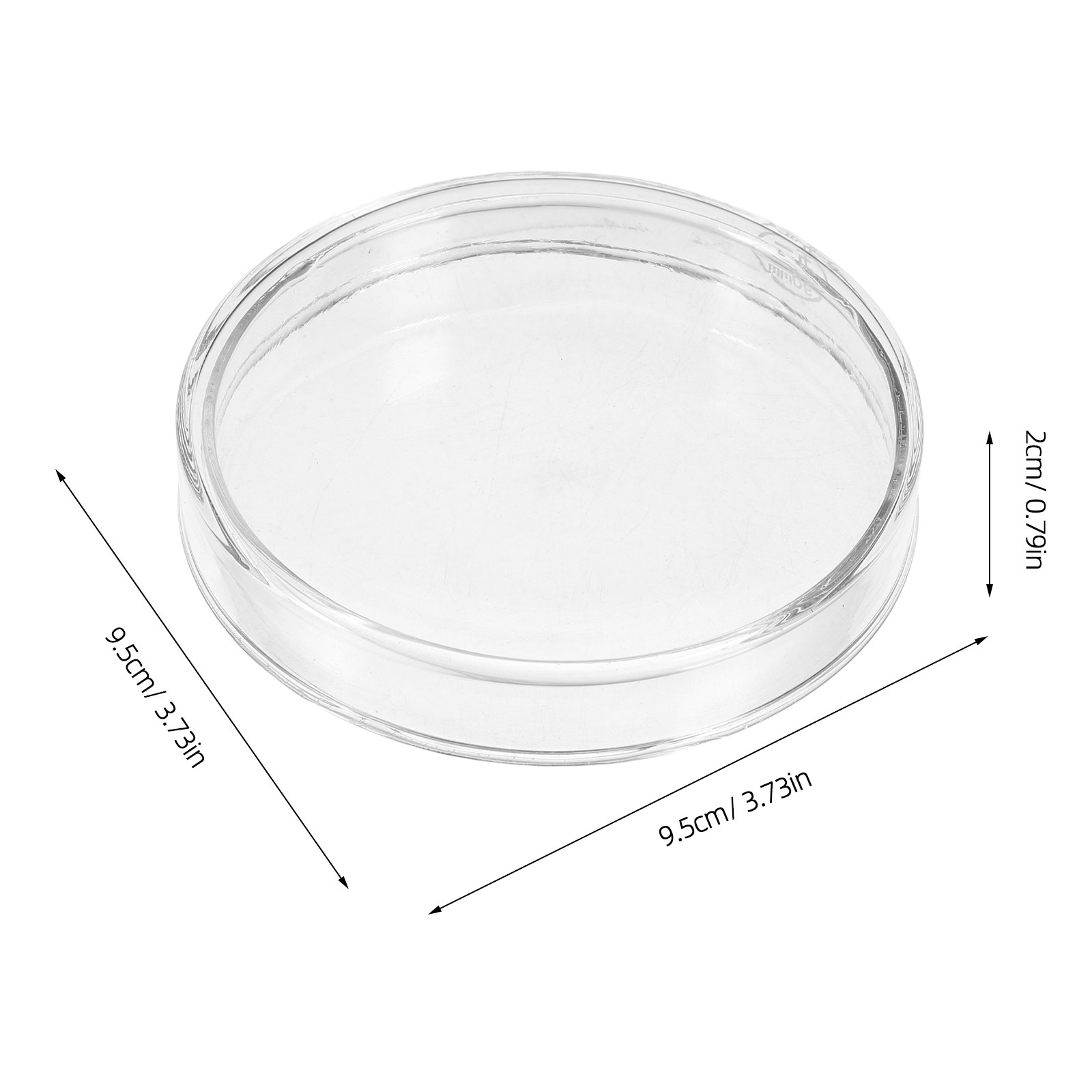 Glass Petri Dish Laboratory Fl - Agar Tissue Culture review and price