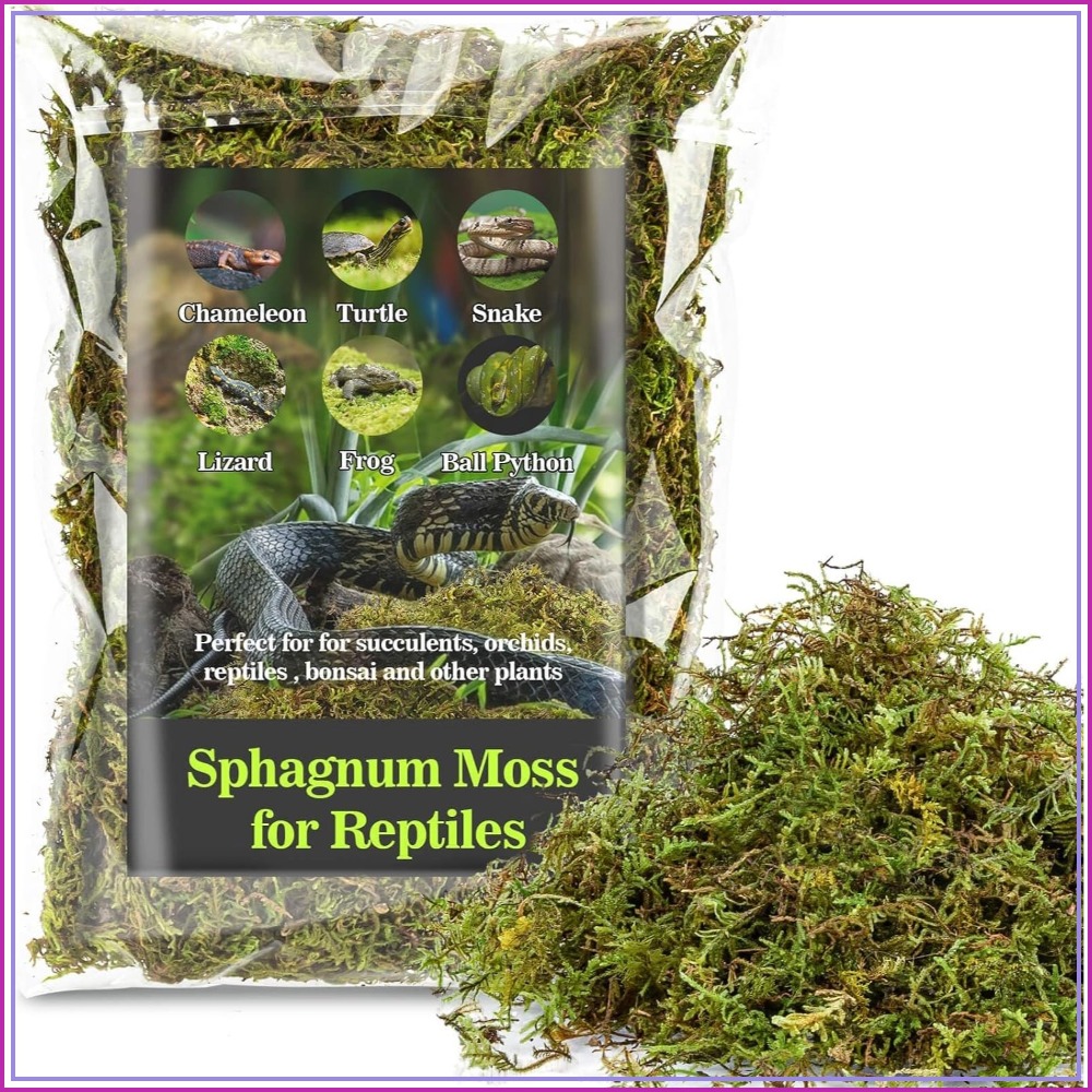 Sphagnum Moss for Reptiles - G - Sphagnum Moss Dry review and price