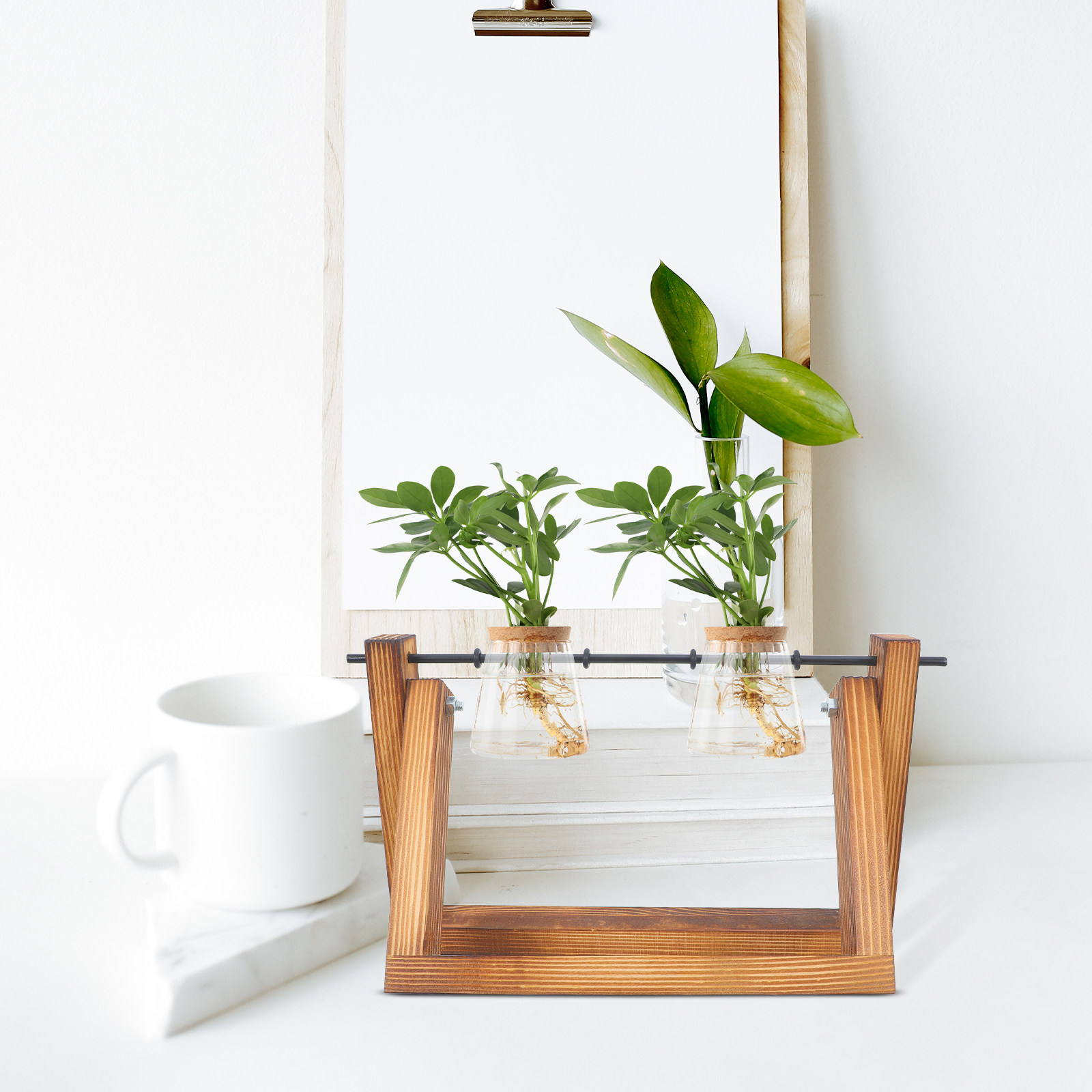 Hydroponic Propagating Jars Ho - Propagation Station Vase review and price