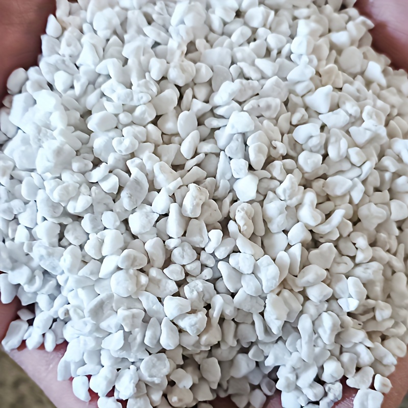 1Bag3-6mmGardening perlite for - Sphagnum Moss Dry review and price