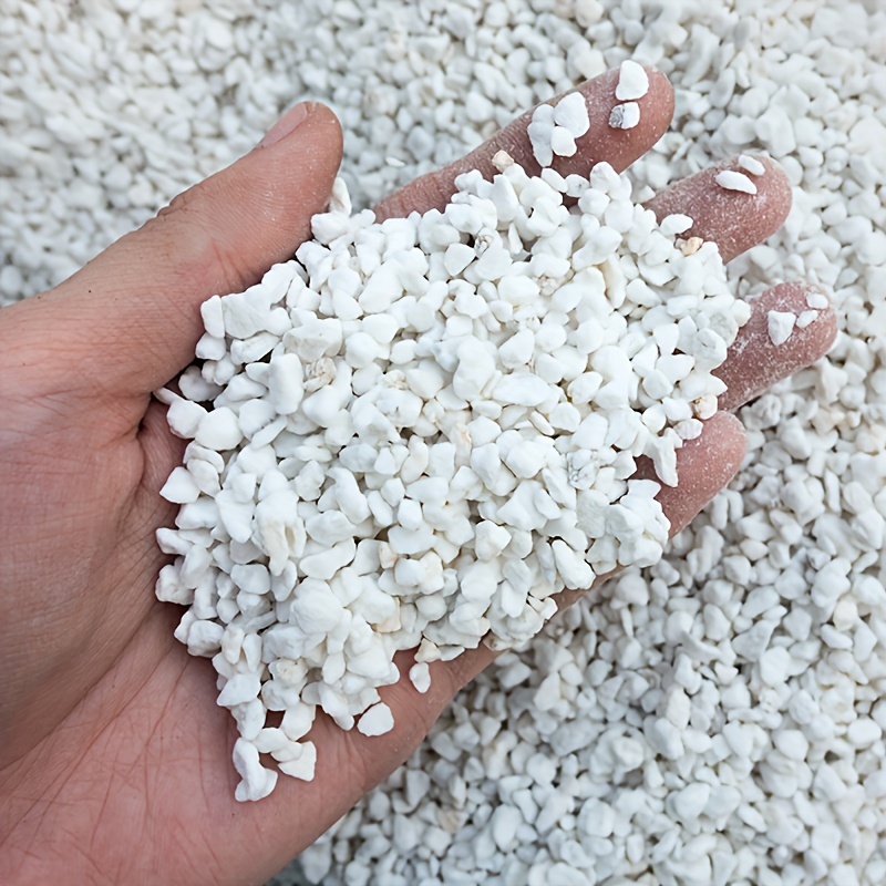 1Bag3-6mmGardening perlite for - Sphagnum Moss Dry review and price