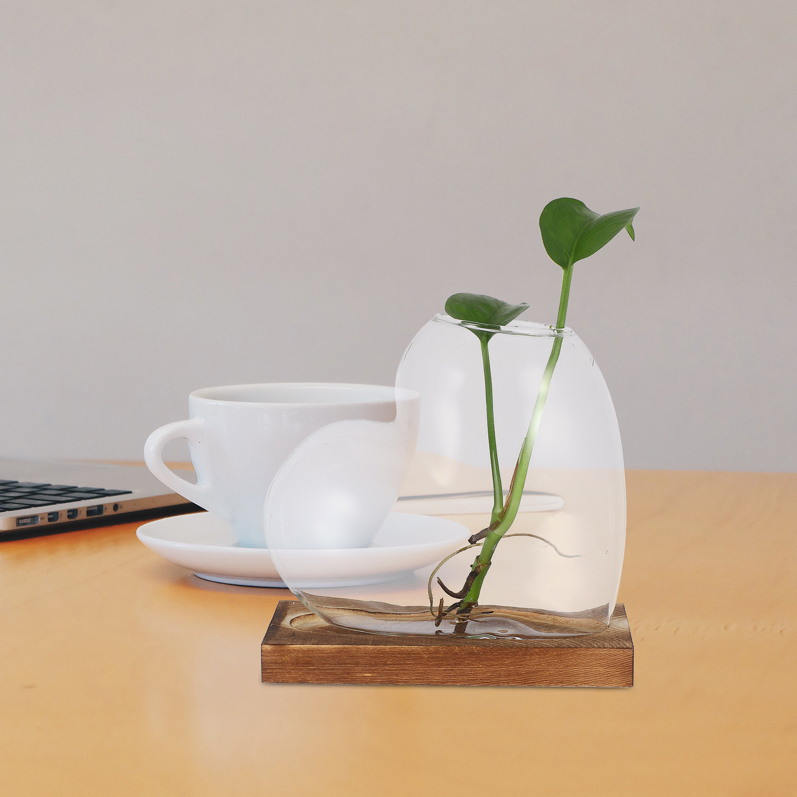 Creative Hydroponic Vase Trans - Propagation Station Vase review and price