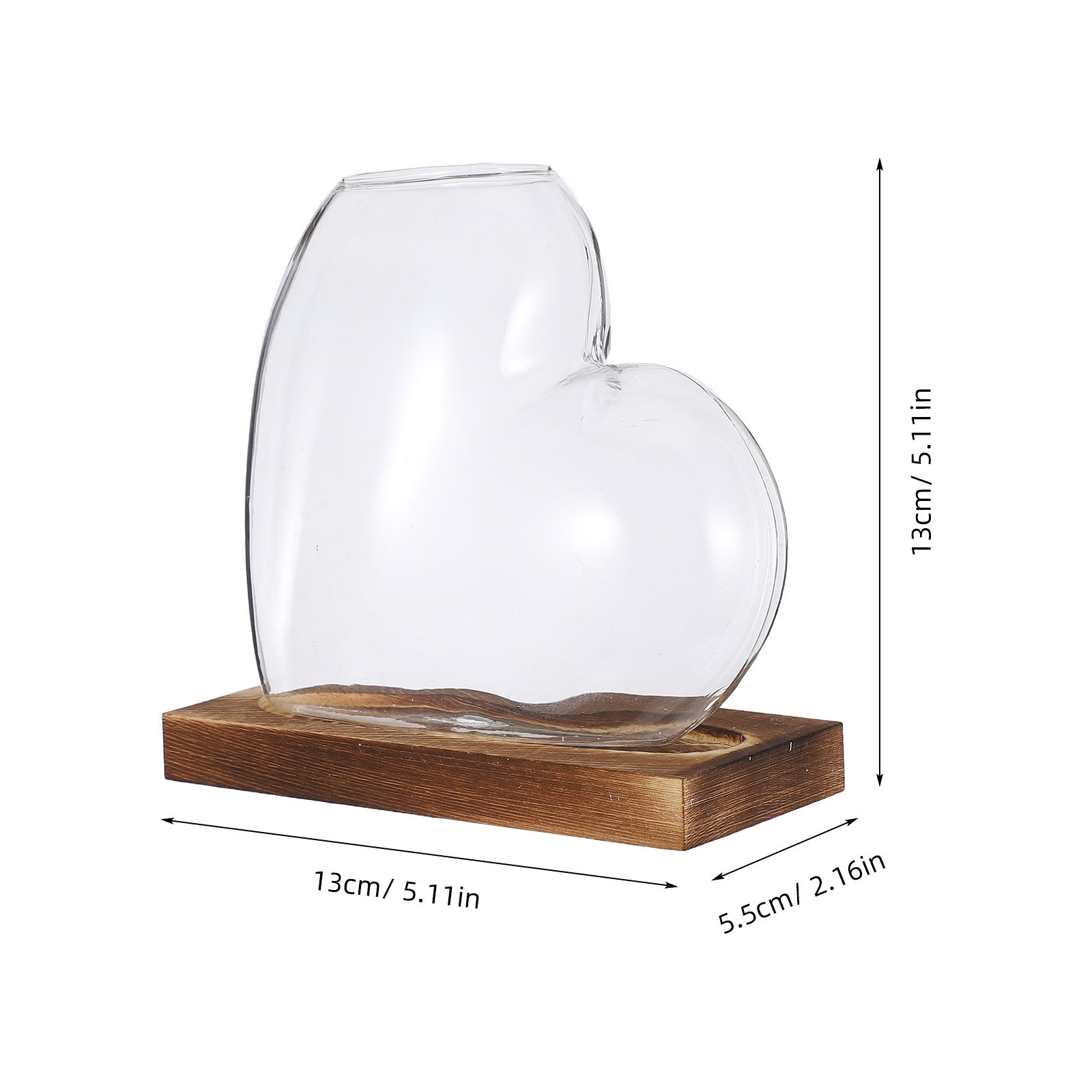 Creative Hydroponic Vase Trans - Propagation Station Vase review and price
