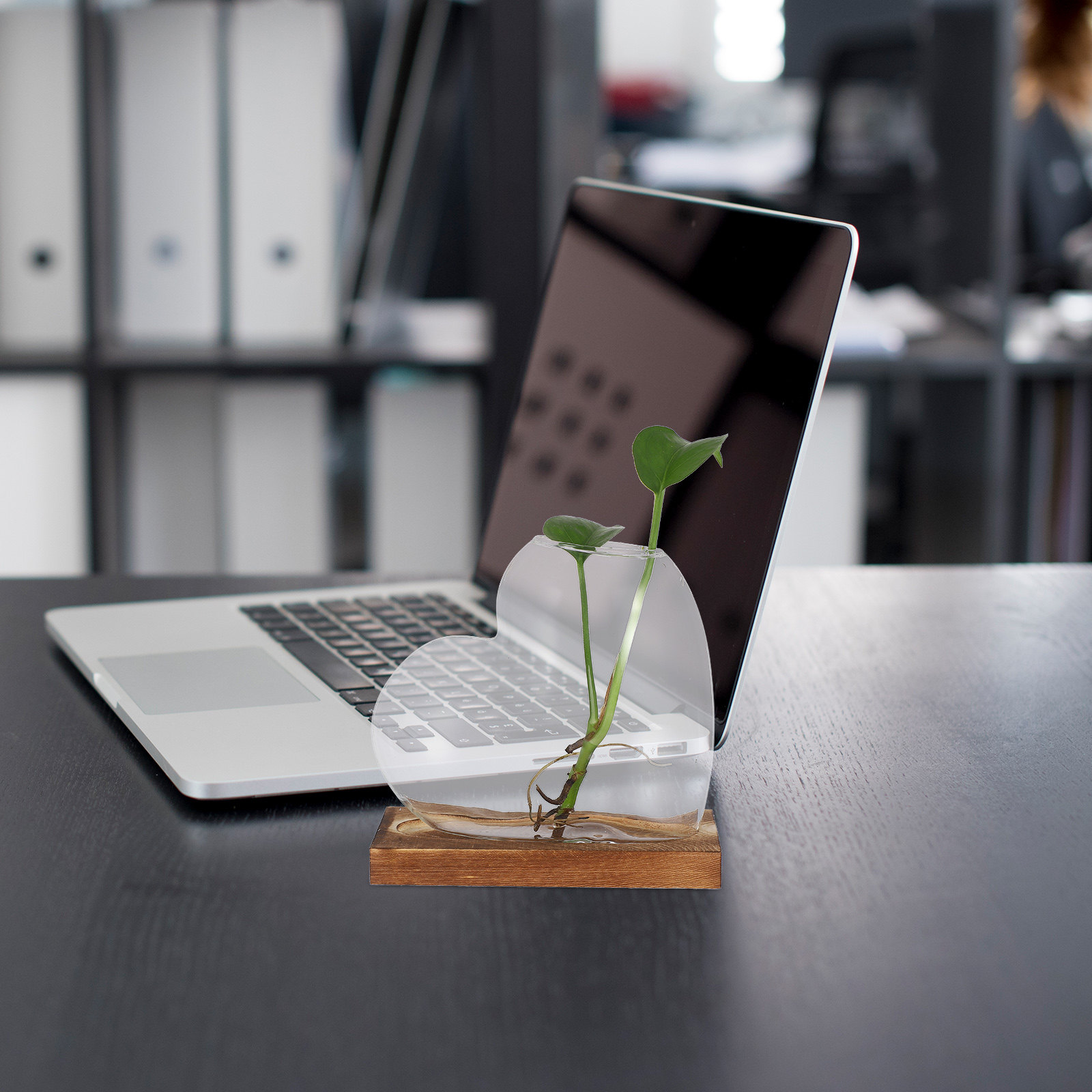 Creative Hydroponic Vase Trans - Propagation Station Vase review and price