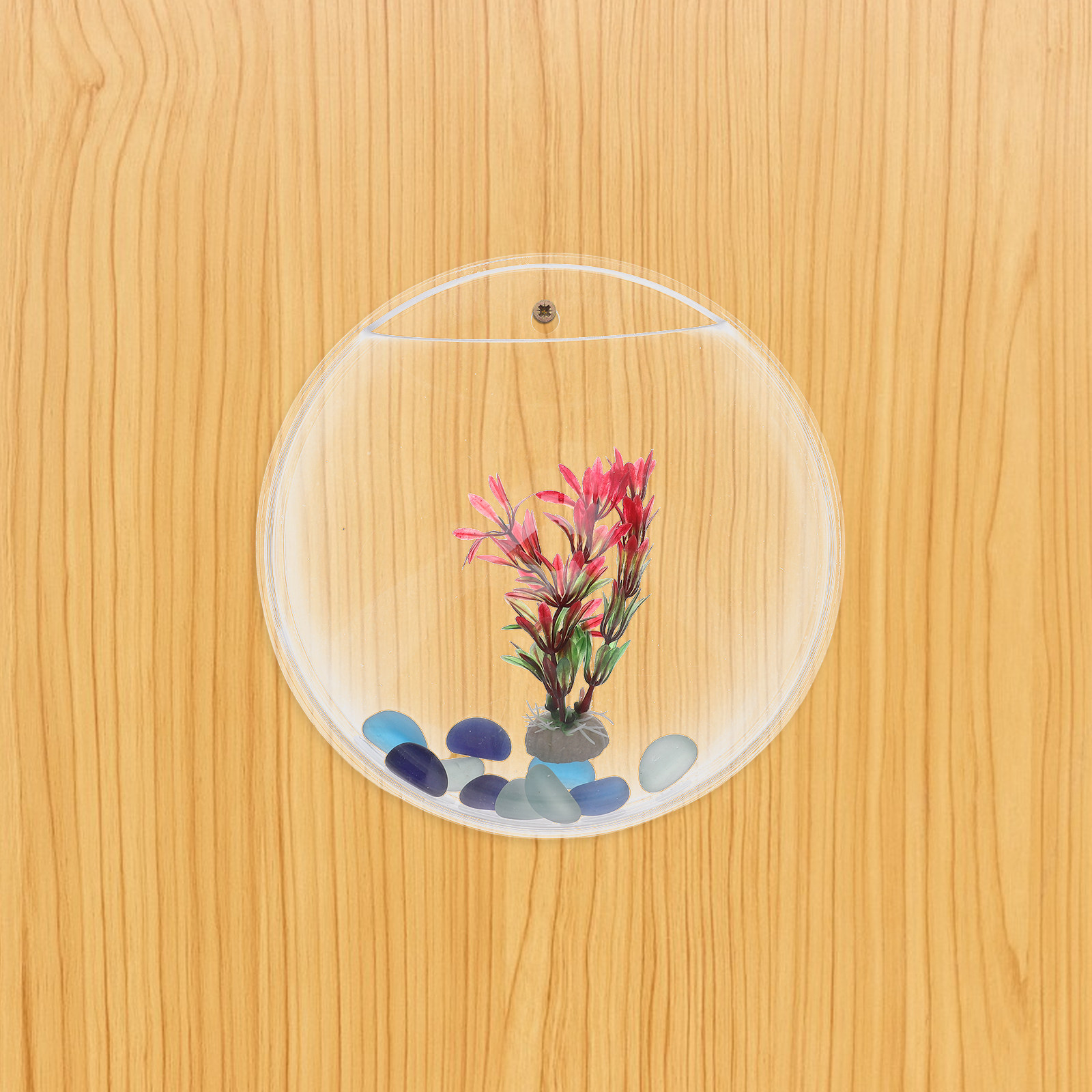 1Set Wall-Mounted Fish Tank 23 - Propagation Station Vase review and price