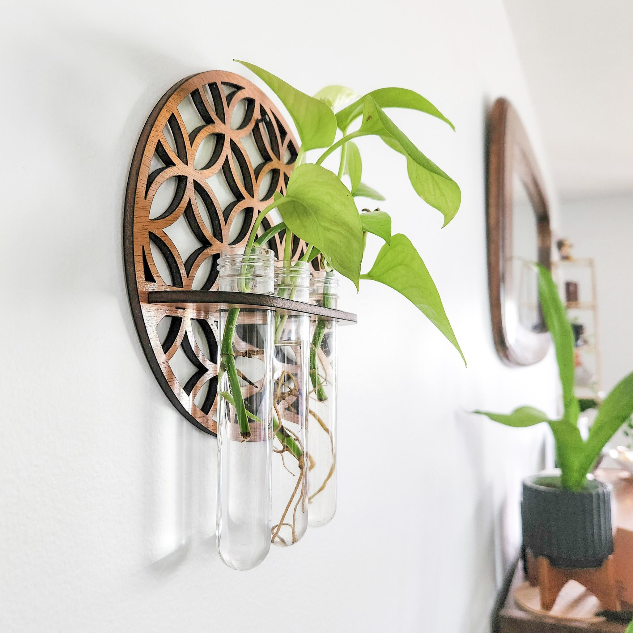 Garden Wall Planters Indoor Wo - Propagation Station Vase review and price