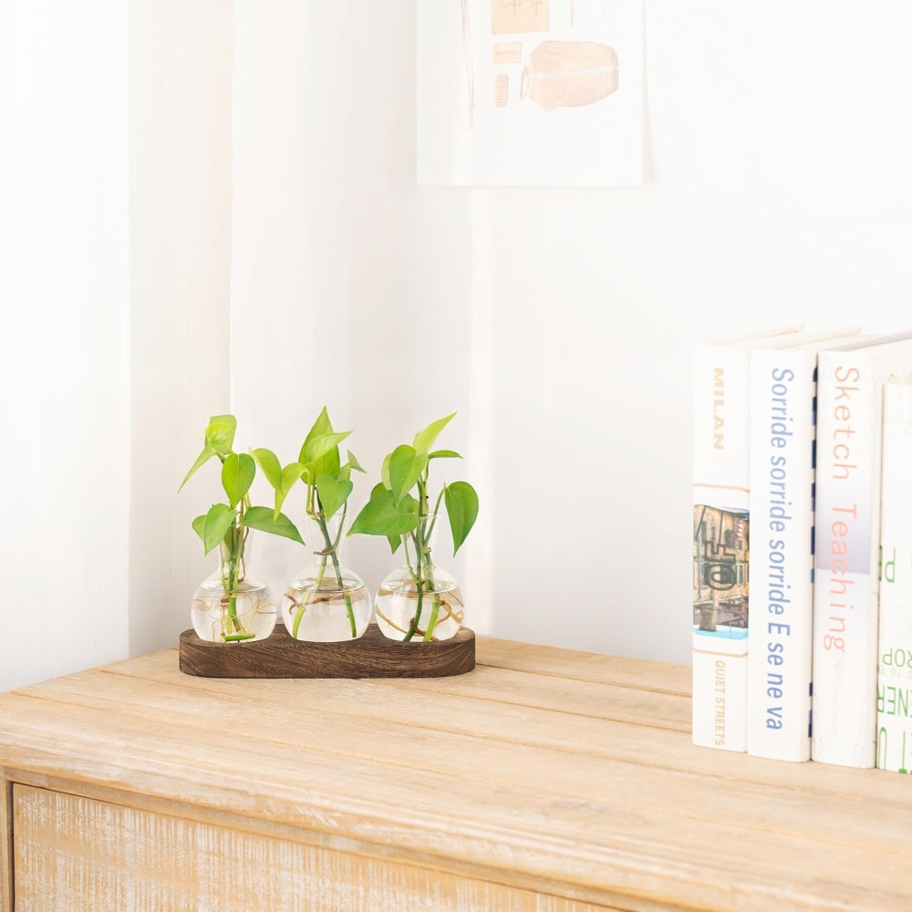 Desktop Plant Propagation Stat - Propagation Station Vase review and price