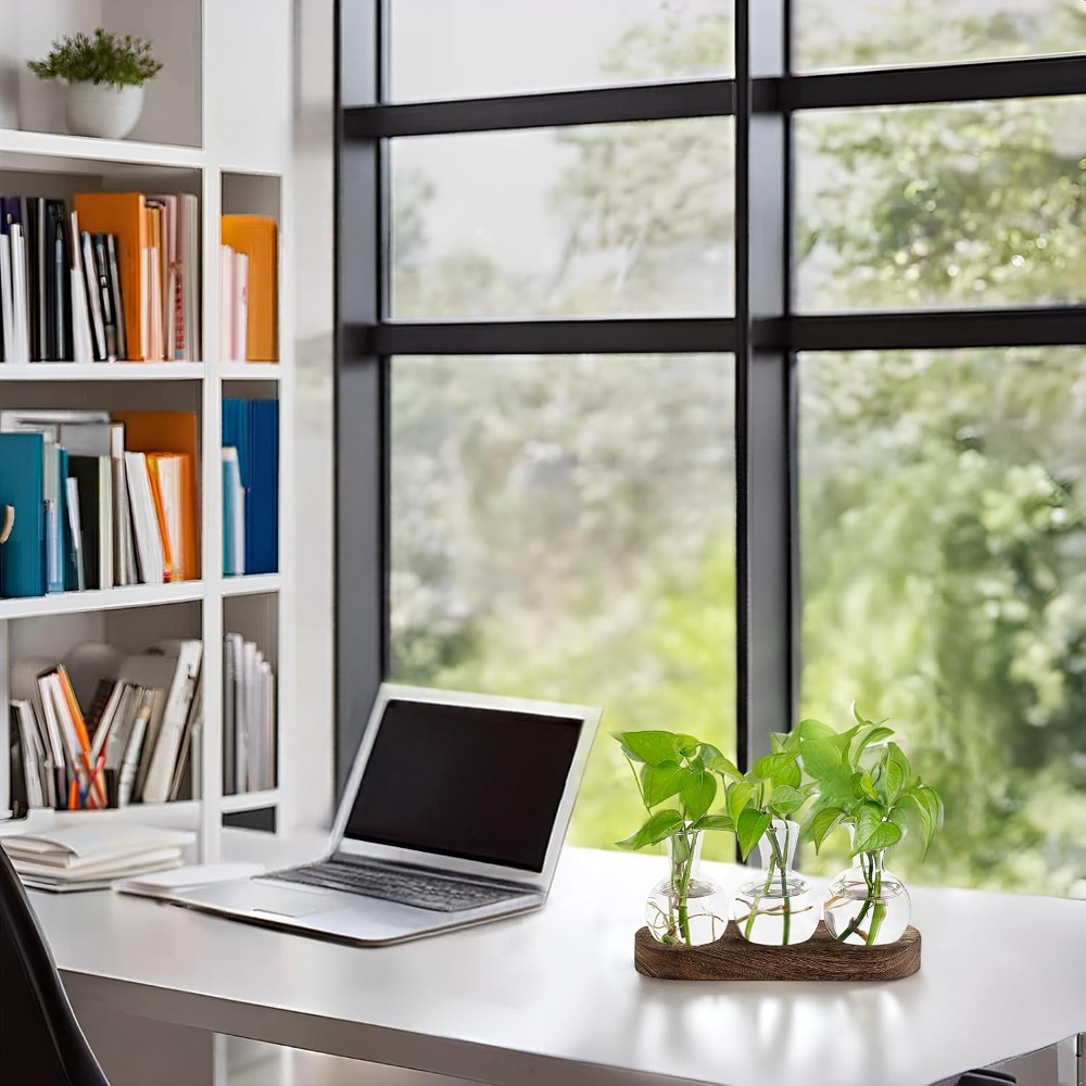 Desktop Plant Propagation Stat - Propagation Station Vase review and price