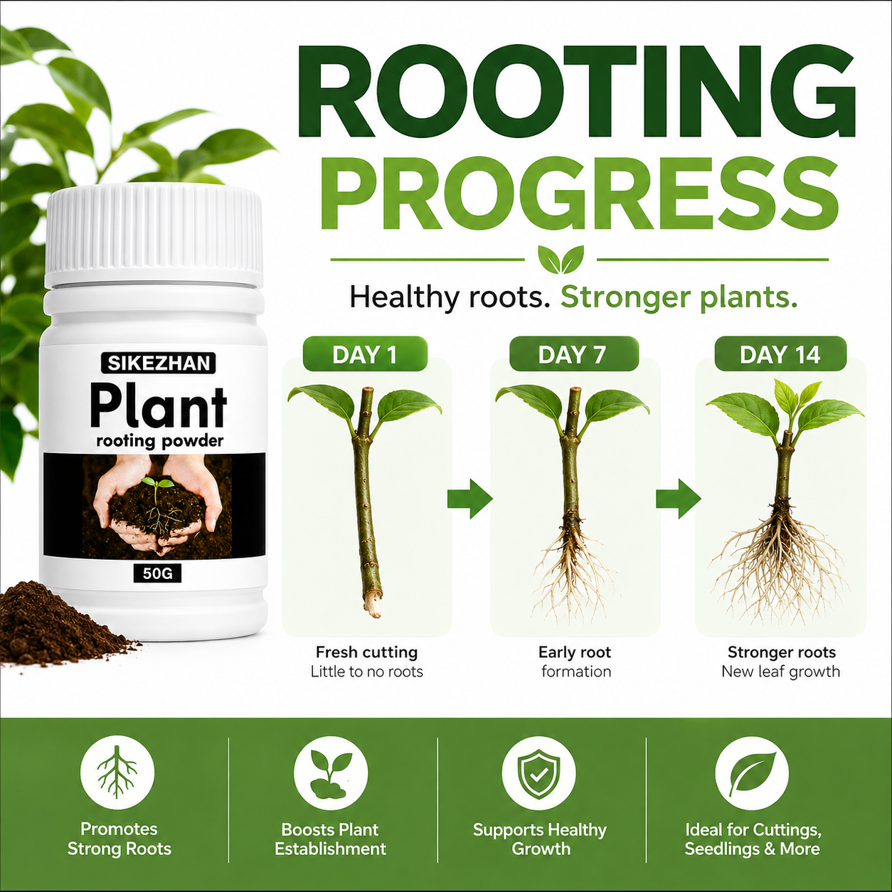 50g Rapid Rooting Powder Plant - Rooting Hormone Powder review and price