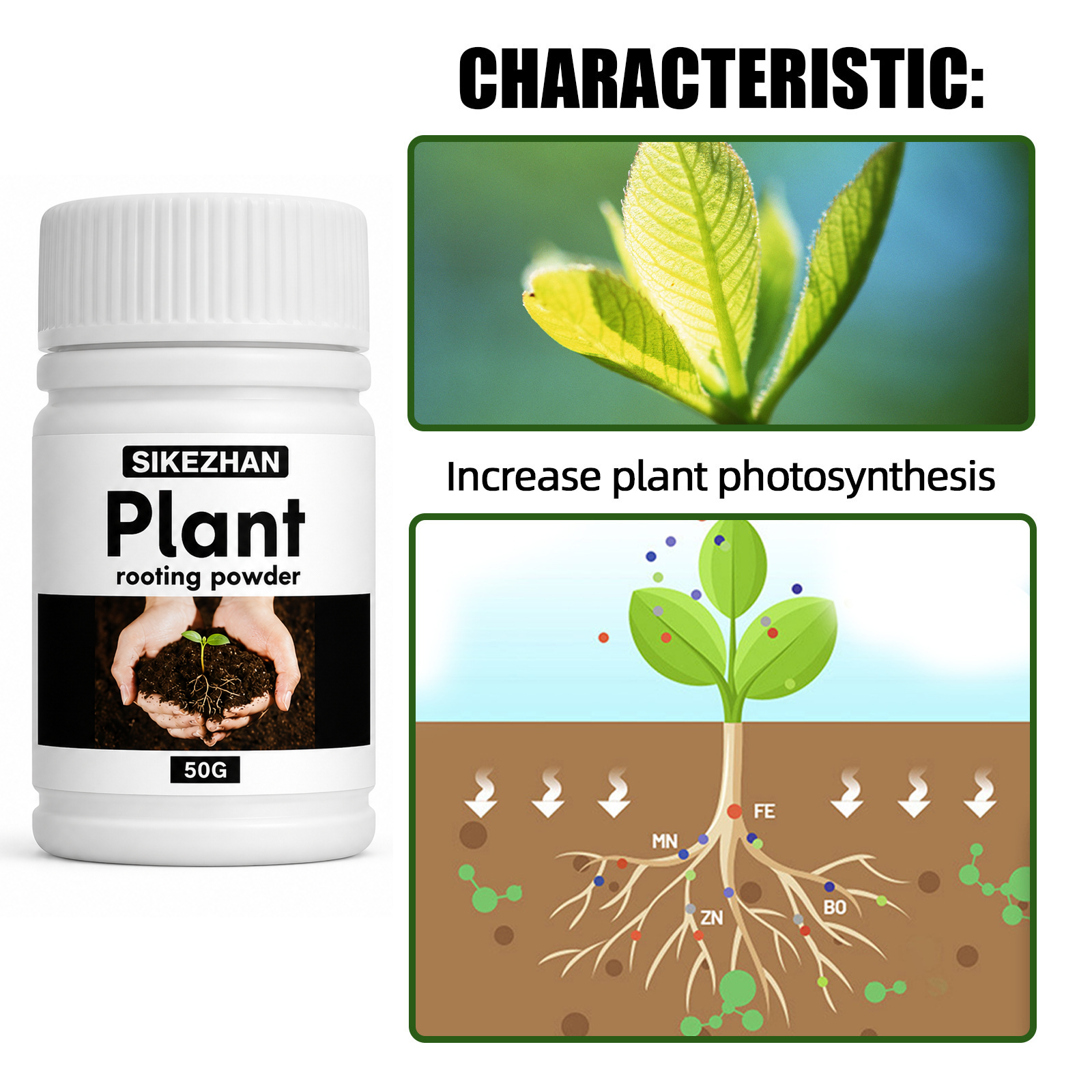 50g Rapid Rooting Powder Plant - Rooting Hormone Powder review and price