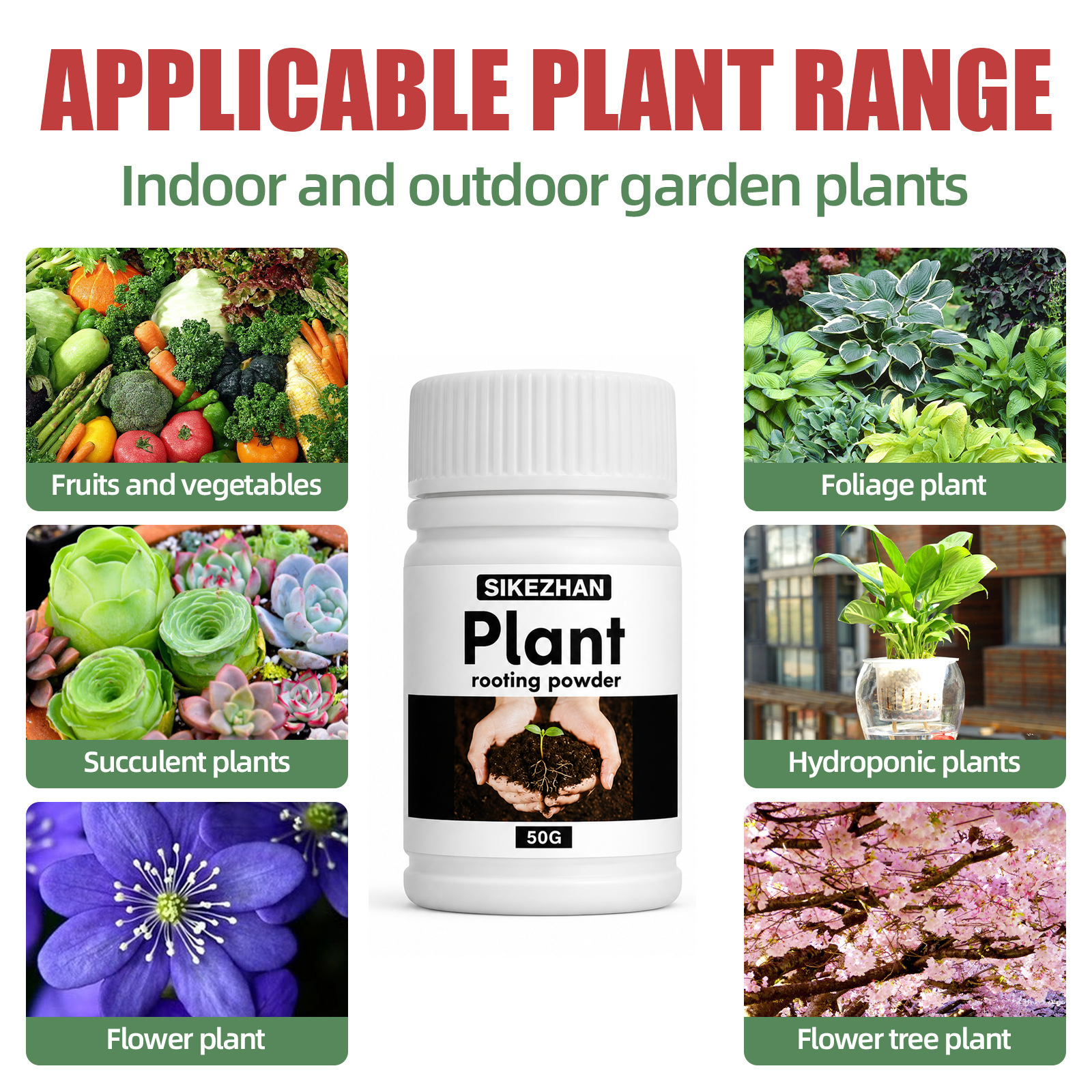 50g Rapid Rooting Powder Plant - Rooting Hormone Powder review and price