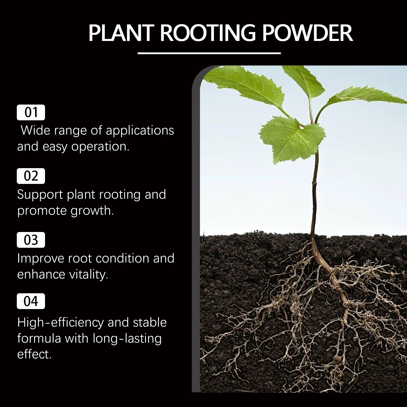 50g Rapid Rooting Powder Plant - Rooting Hormone Powder review and price