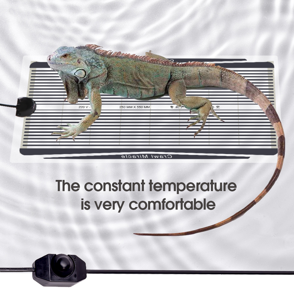 5W-35W Plant Heating Mat Graph - Heat Mat Seedling review and price