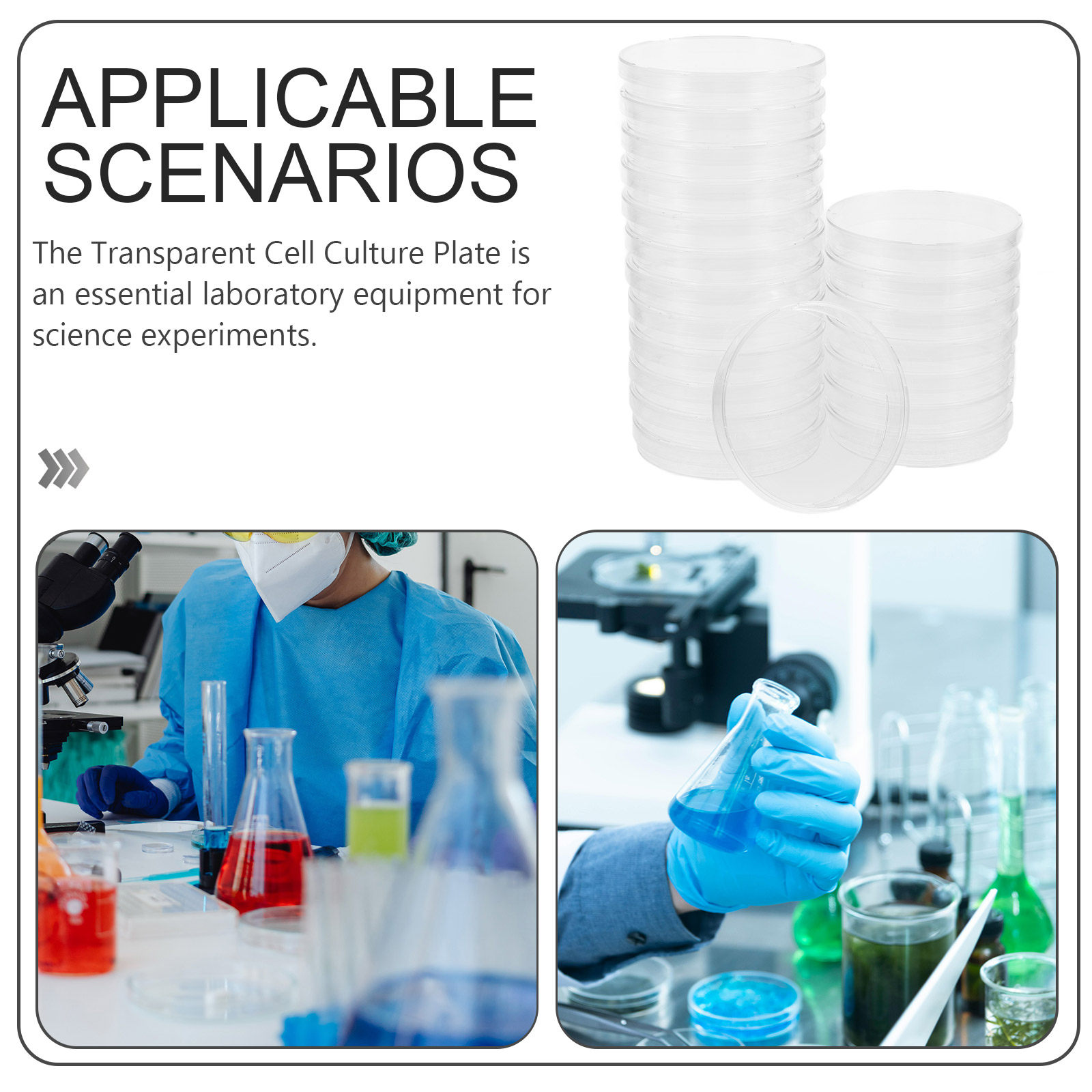 20Pcs High Precision Petri Dis - Agar Tissue Culture review and price
