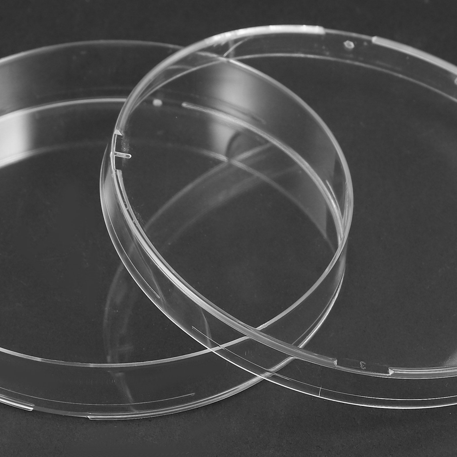 20Pcs High Precision Petri Dis - Agar Tissue Culture review and price