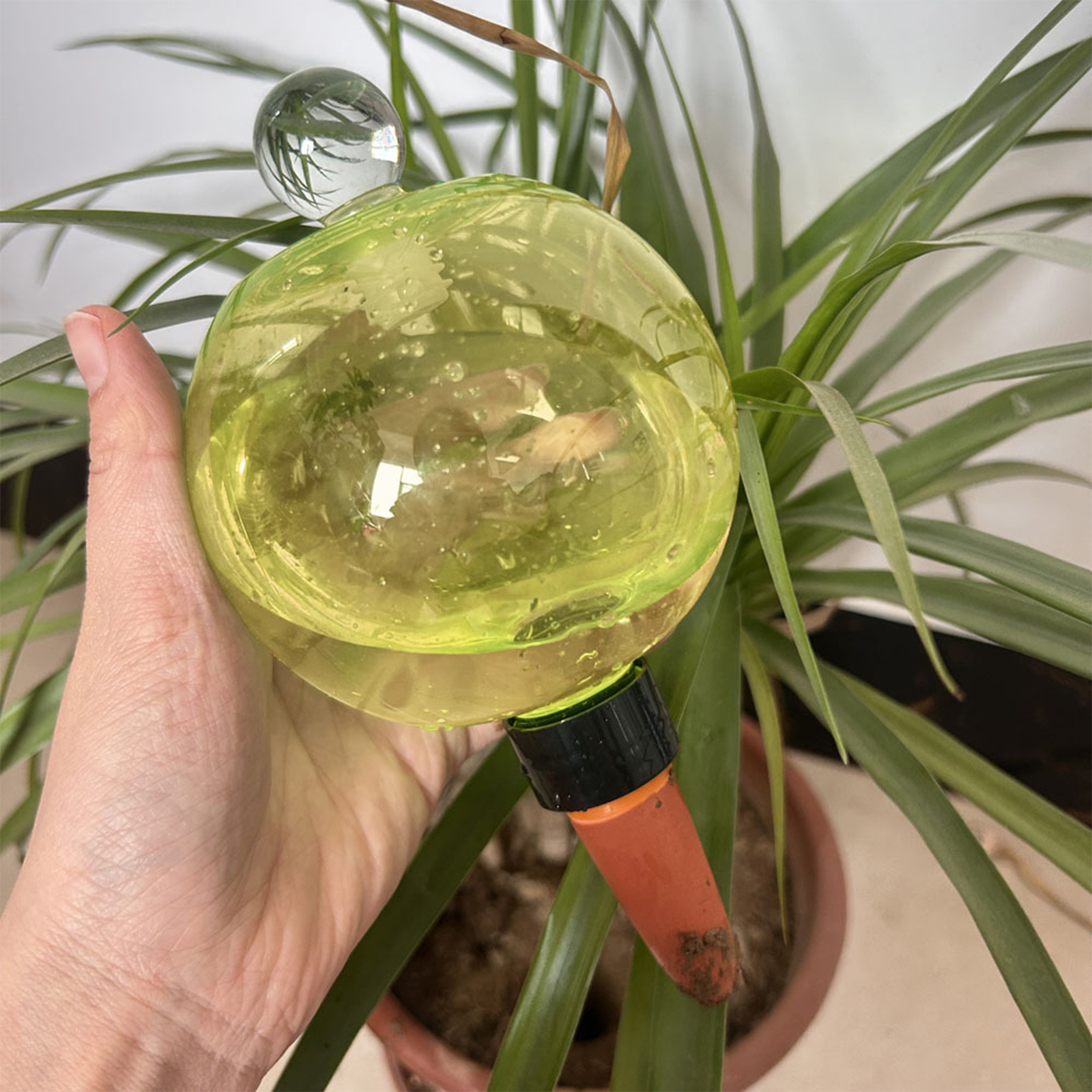 Self Watering Planter Insert T - Self Watering Insert review and price