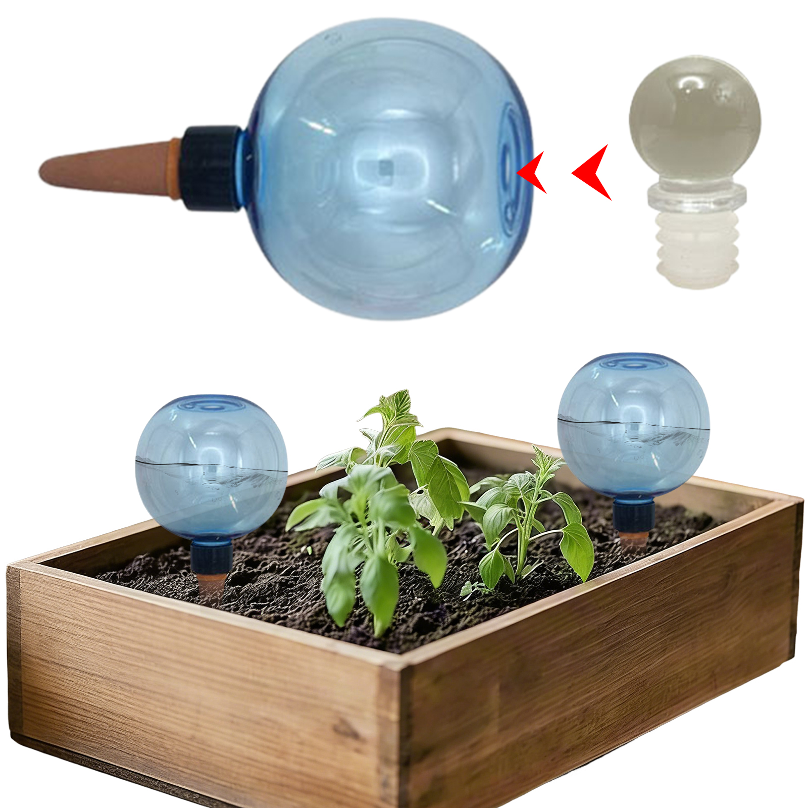 Self Watering Planter Insert T - Self Watering Insert review and price