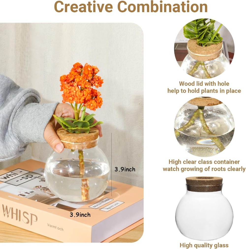Hydroponic Plant Propagation S - Propagation Station Vase review and price