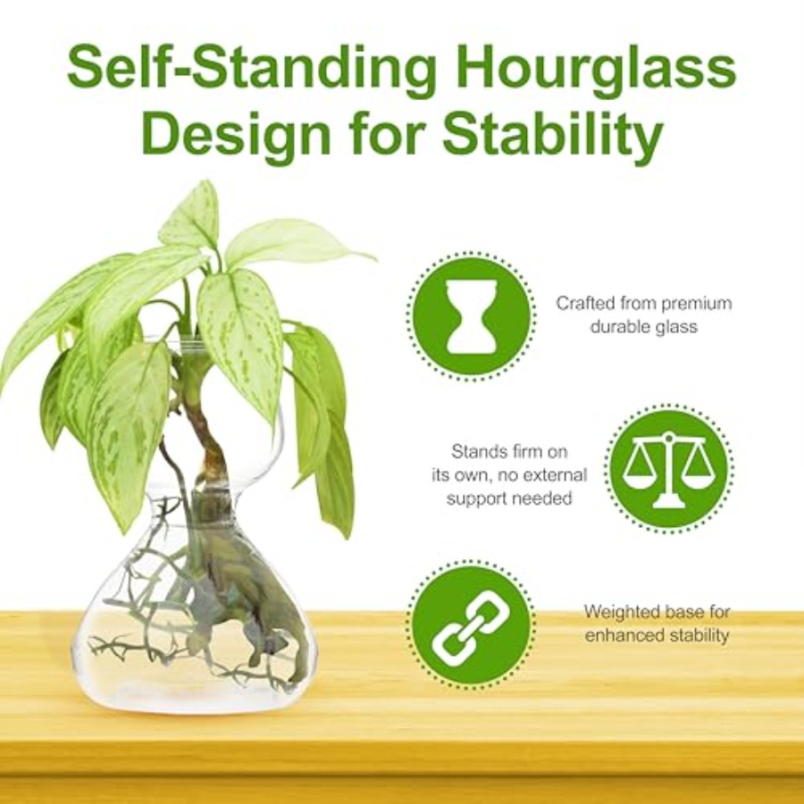 Garden Guru Plant Propagation  - Propagation Station Vase review and price