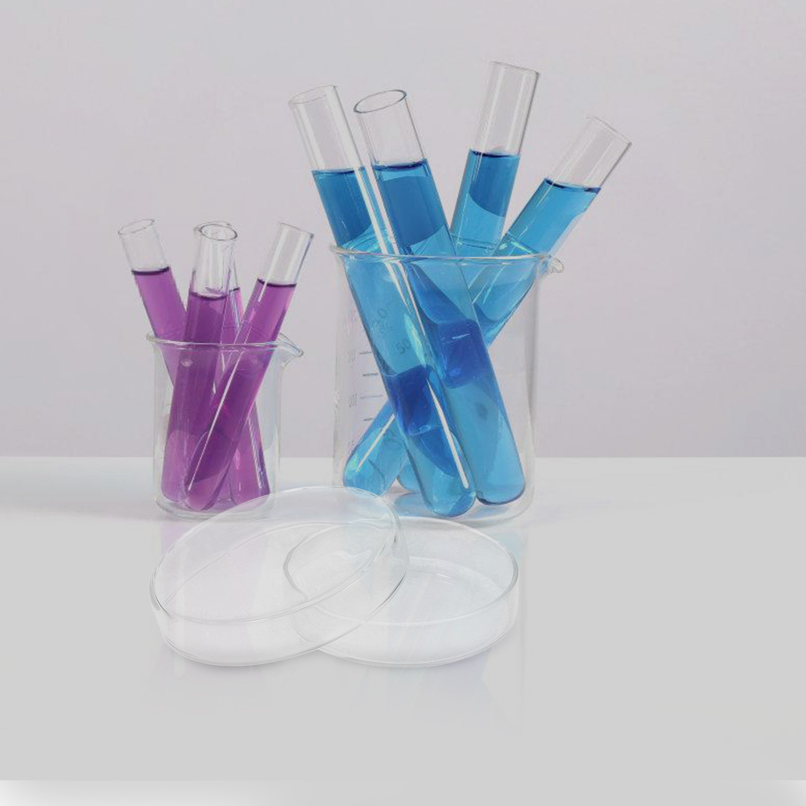 Glass Petri Dish High Borosili - Agar Tissue Culture review and price