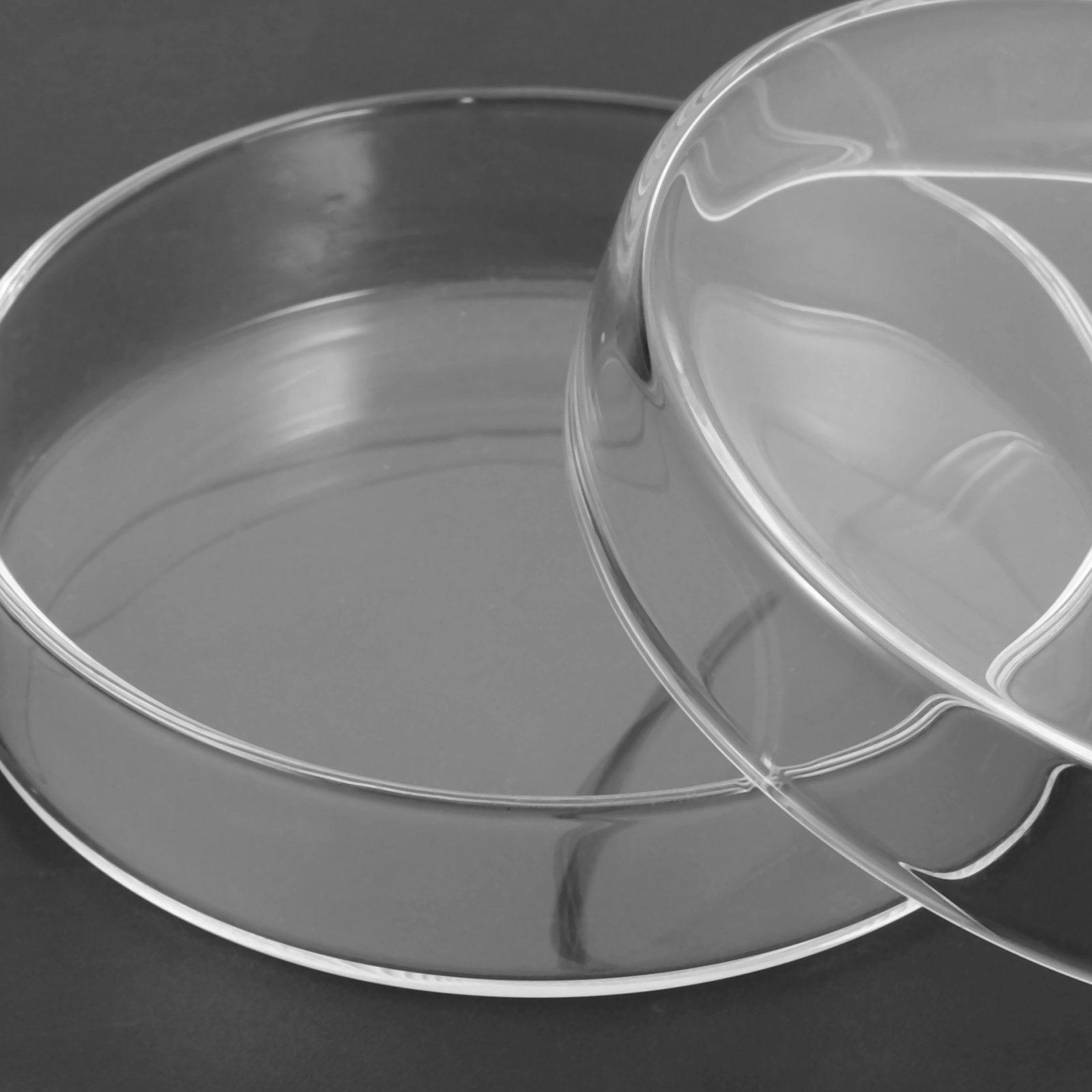 Glass Petri Dish High Borosili - Agar Tissue Culture review and price