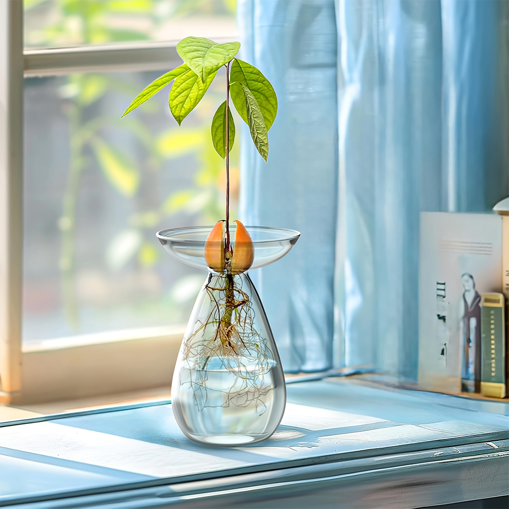 Avocado Seed Starter Vase Tran - Propagation Station Vase review and price