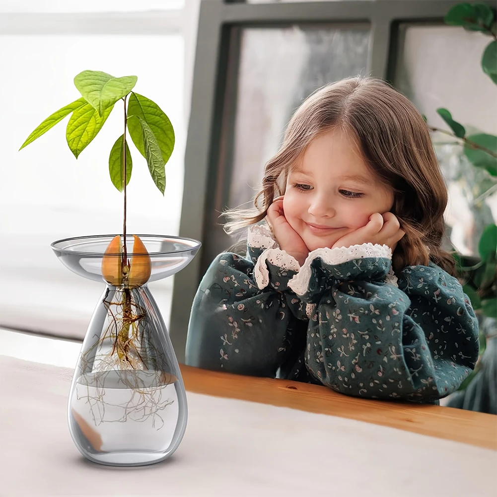 Avocado Seed Starter Vase Tran - Propagation Station Vase review and price
