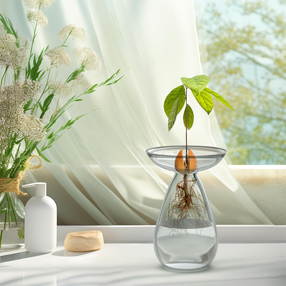 Avocado Seed Starter Vase Tran - Propagation Station Vase review and price