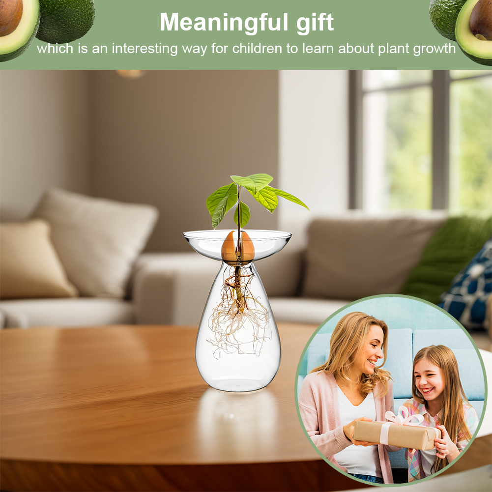 Avocado Seed Starter Vase Tran - Propagation Station Vase review and price