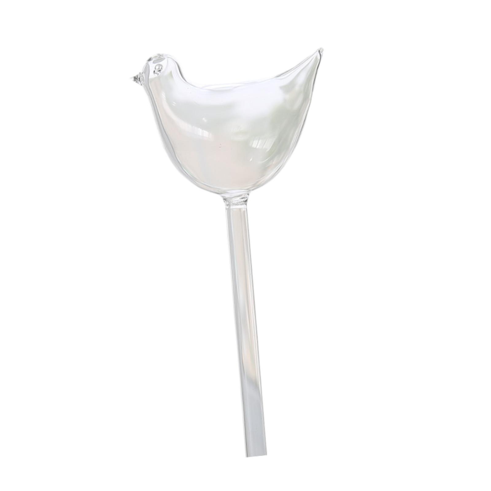 Plant Watering Globe Glass Wat - Self Watering Insert review and price