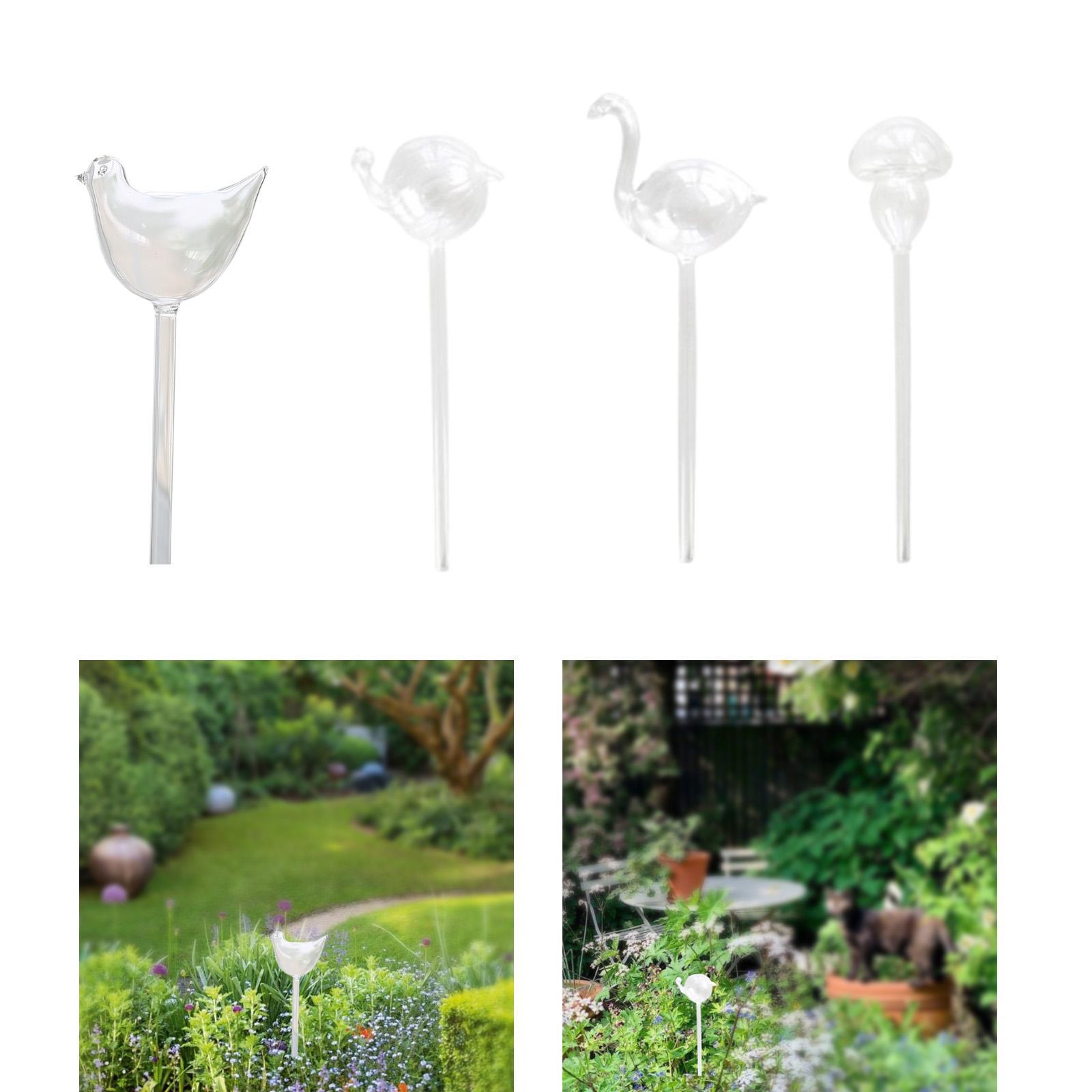 Plant Watering Globe Glass Wat - Self Watering Insert review and price