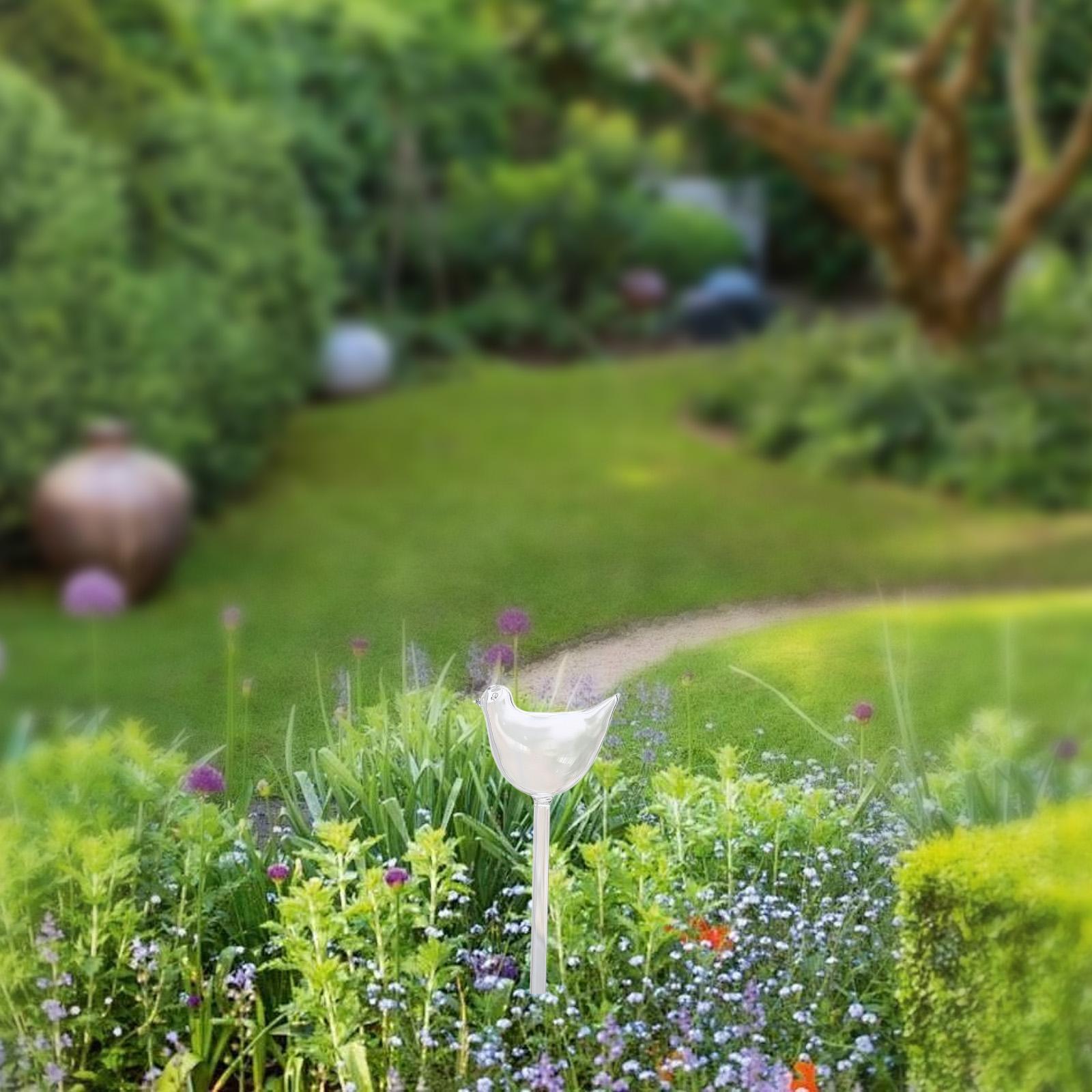 Plant Watering Globe Glass Wat - Self Watering Insert review and price