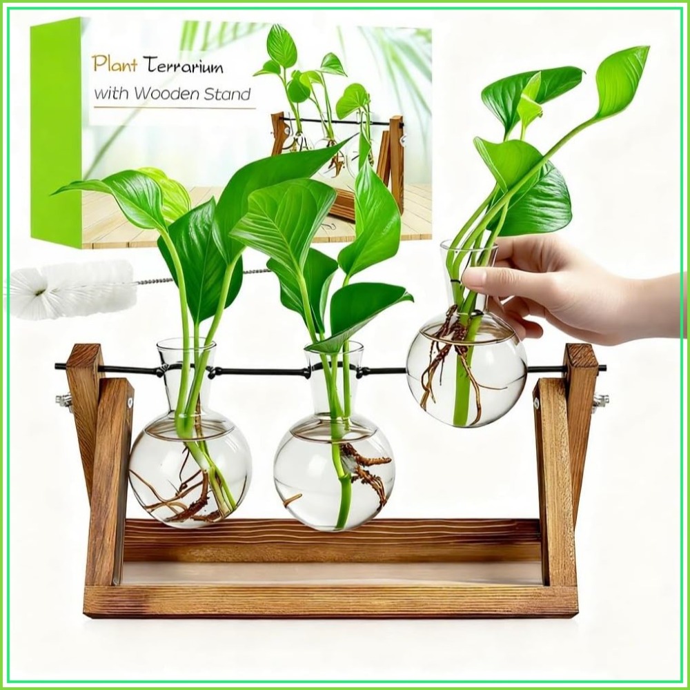 Plant Propagation Station with - Propagation Station Vase review and price