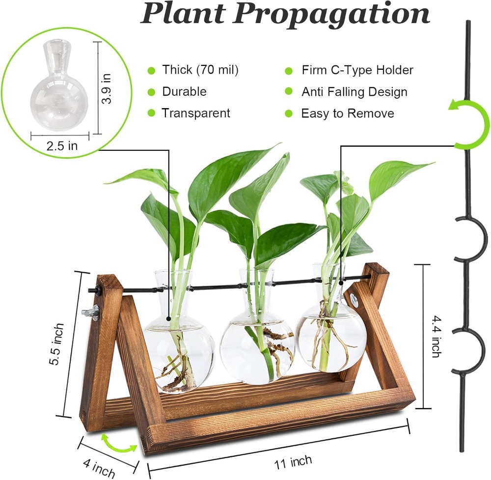 Plant Propagation Station with - Propagation Station Vase review and price