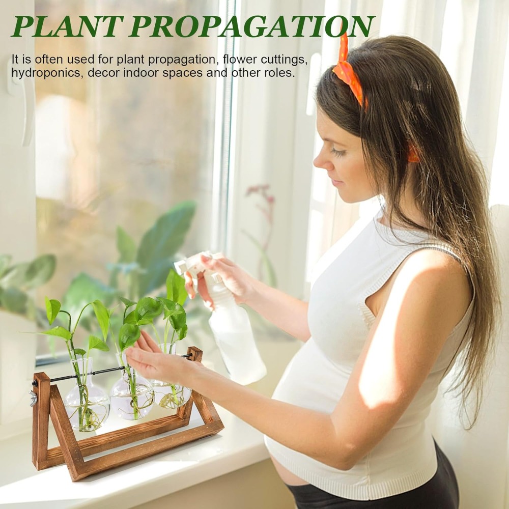 Plant Propagation Station with - Propagation Station Vase review and price