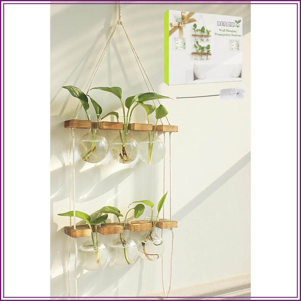 Wall Hanging Plant Propagation - Propagation Station Vase review and price