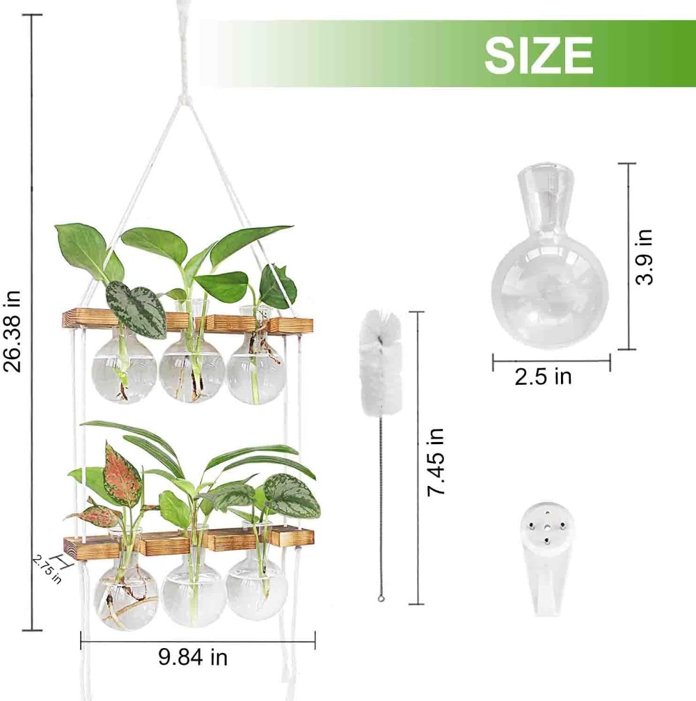 Wall Hanging Plant Propagation - Propagation Station Vase review and price
