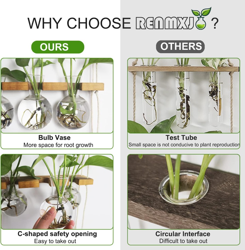 Wall Hanging Plant Propagation - Propagation Station Vase review and price